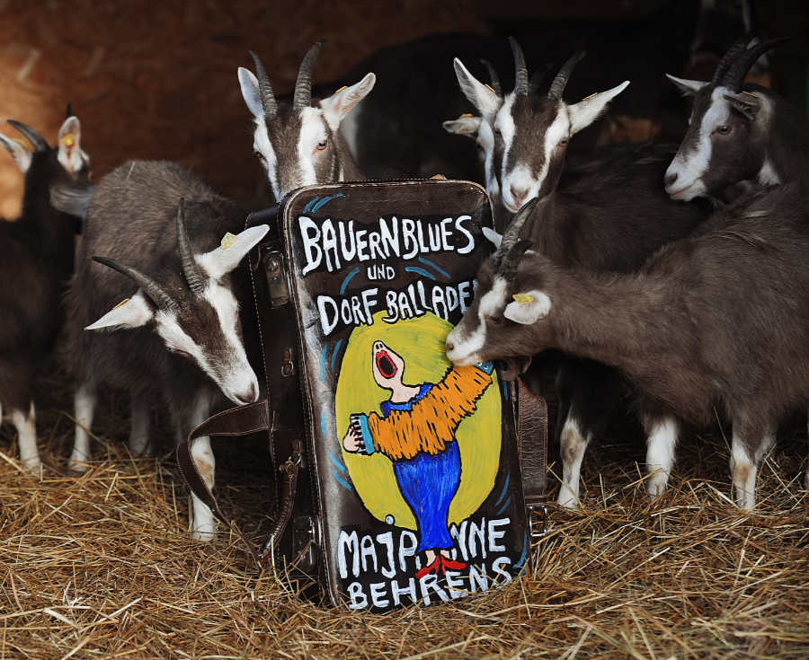 Majanne Behrens Wendland Liedermacherin